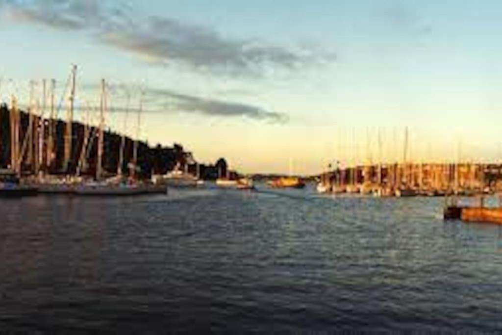 Cosy City Apartment Cork Luaran gambar